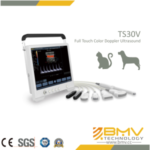 Touchscan Ts20V Ecografo Ultrasonido Veterinario B/W PARA Bovinos Y Equinos